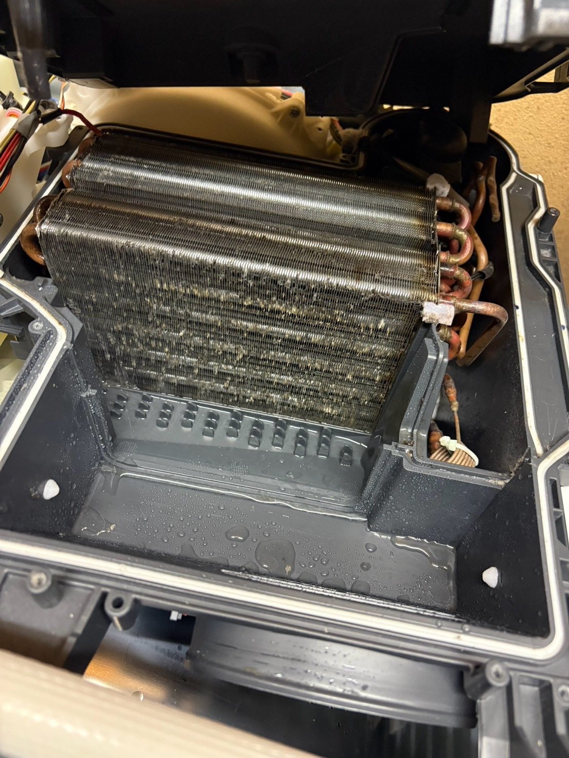 洗浄後の熱交換器。フィンを覆っていたホコリが取れ、受け皿もきれいになっている