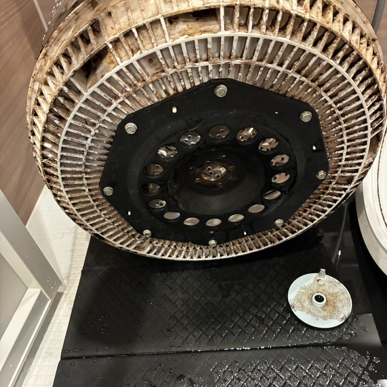 洗浄前の洗濯槽の底の部品。カビの汚れが付いている