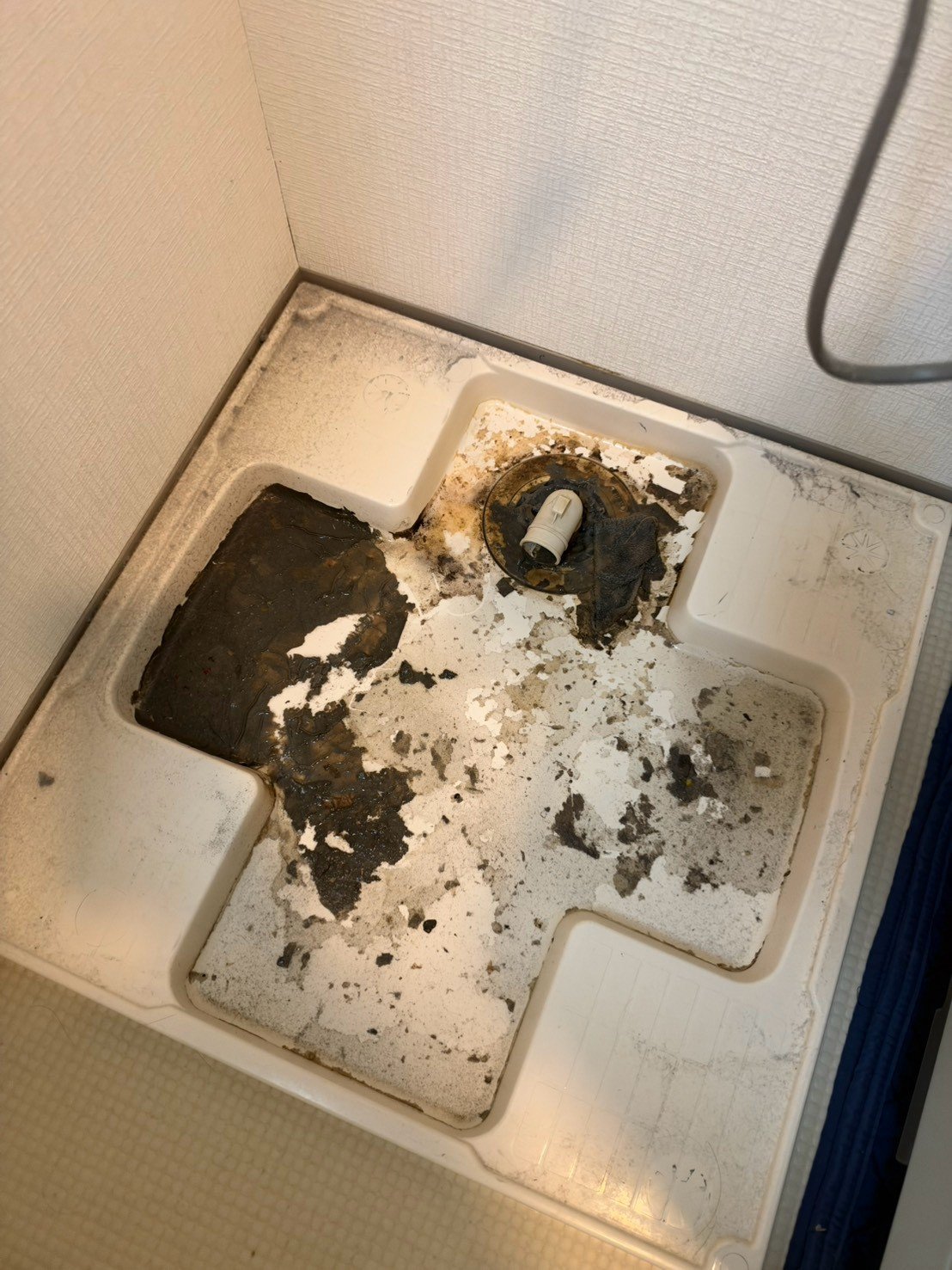 清掃前の防水パン。水と汚れがたまっている