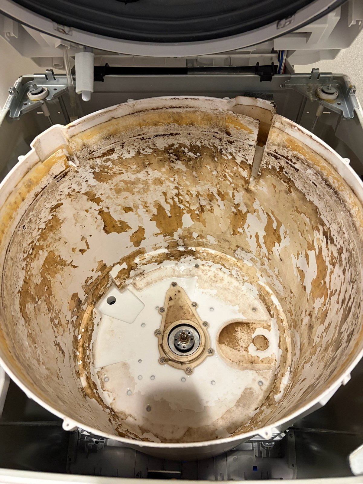 洗浄前の洗濯槽を外した内側。茶色いカビが付いている